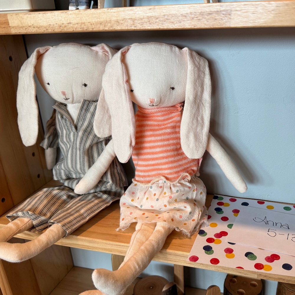 Maileg My Best Friends Set